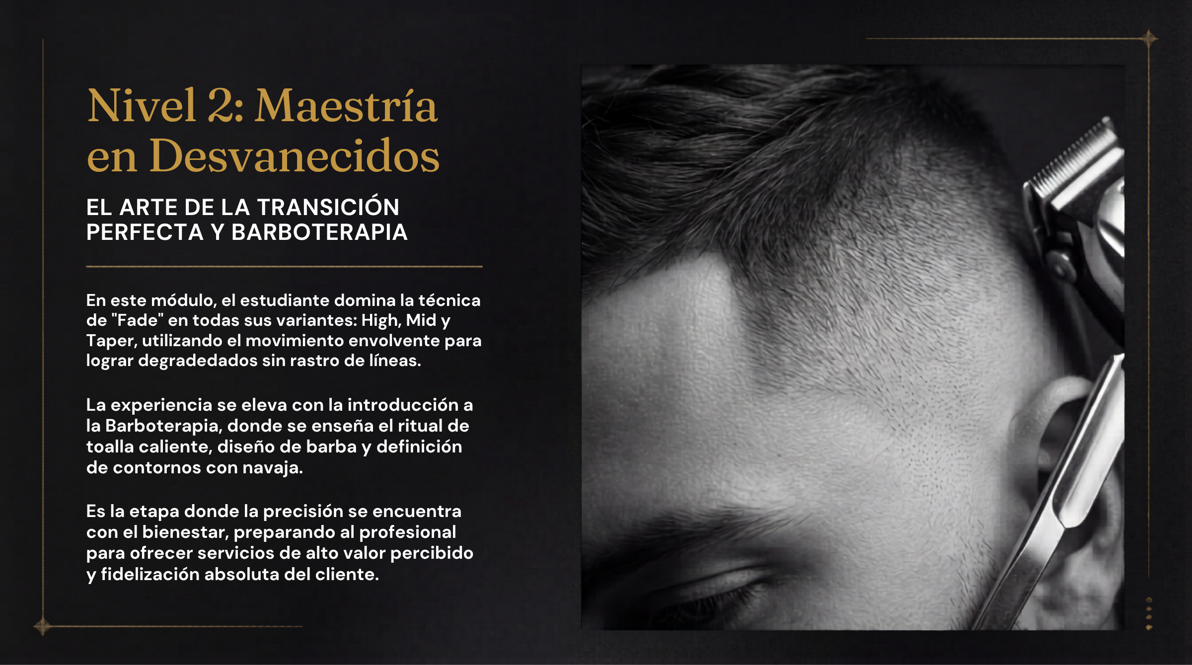Nivel 2: Maestría en Desvanecidos y Barboterapia